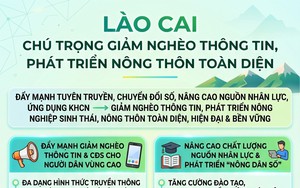 Thanh Hoá: Từ đặc sản địa phương đến trải nghiệm số đa chiều - Ảnh 5.