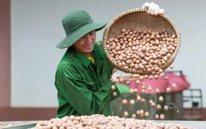 Đắk Lắk: Th&uacute;c đẩy chuyển đổi số v&agrave; ph&aacute;t triển hệ sinh th&aacute;i doanh nghiệp bền vững- Ảnh 9.