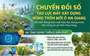 TPHCM tái cấu trúc nông nghiệp đô thị, hướng tới 50% xã đạt chuẩn nông thôn mới hiện đại - Ảnh 2.