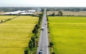 H&agrave; Tĩnh nh&acirc;n rộng m&ocirc; h&igrave;nh l&uacute;a giảm ph&aacute;t thải, hướng tới n&ocirc;ng nghiệp xanh - Ảnh 6.