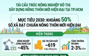 H&agrave; Tĩnh nh&acirc;n rộng m&ocirc; h&igrave;nh l&uacute;a giảm ph&aacute;t thải, hướng tới n&ocirc;ng nghiệp xanh - Ảnh 5.