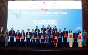 Bộ trưởng Vũ Hải Qu&acirc;n: Đưa hợp t&aacute;c khoa học, c&ocirc;ng nghệ trở th&agrave;nh trụ cột mới trong quan hệ Việt Nam - Singapore - Ảnh 2.