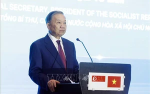 Việt Nam - Singapore thảo luận 05 nội dung trọng t&acirc;m hợp t&aacute;c về KHCN, ĐMST v&agrave; CĐS - Ảnh 1.
