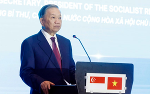 Bộ trưởng Vũ Hải Qu&acirc;n: Đưa hợp t&aacute;c khoa học, c&ocirc;ng nghệ trở th&agrave;nh trụ cột mới trong quan hệ Việt Nam - Singapore - Ảnh 3.