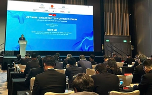 KHCN, ĐMST&CĐS trở th&agrave;nh lĩnh vực hợp t&aacute;c chiến lược Việt Nam - Singapore - Ảnh 2.