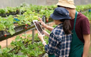 Hà Nội thống nhất bộ tiêu chí về nông thôn mới giai đoạn 2026 - 2030 - Ảnh 5.