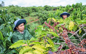 Bảo đảm uy t&iacute;n quốc gia trong thực thi v&agrave; bảo vệ quyền sở hữu tr&iacute; tuệ - Ảnh 7.