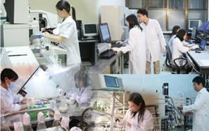5 nhiệm vụ trọng t&acirc;m đẩy mạnh c&ocirc;ng t&aacute;c sở hữu tr&iacute; tuệ trong t&igrave;nh h&igrave;nh mới- Ảnh 4.