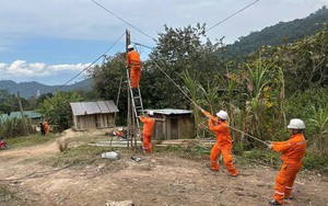 L&acirc;m Đồng triển khai 4 nền tảng số tr&ecirc;n Mạng truyền số liệu chuy&ecirc;n d&ugrave;ng - Ảnh 4.