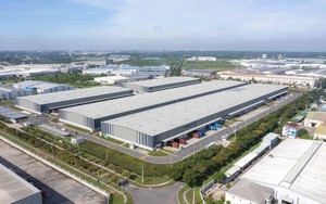 Đ&agrave; Nẵng: Kiến tạo hệ sinh th&aacute;i đổi mới s&aacute;ng tạo để tăng tốc mục ti&ecirc;u kinh tế số- Ảnh 2.