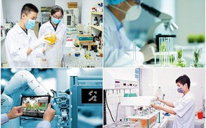 Kh&aacute;nh H&ograve;a hỗ trợ người d&acirc;n, doanh nghiệp, hộ kinh doanh sử dụng t&ecirc;n miền quốc gia &ldquo;.vn&rdquo;- Ảnh 3.