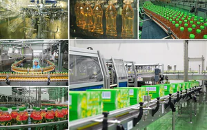 Ph&aacute;t triển kinh tế tư nh&acirc;n: Kiến tạo "đường băng" cho doanh nghiệp vươn tầm quốc tế - Ảnh 3.