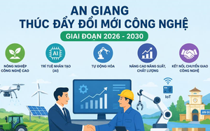 An Giang quyết t&acirc;m đưa chỉ số chuyển đổi số v&agrave;o nh&oacute;m 10 cả nước - Ảnh 5.
