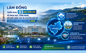 L&acirc;m Đồng đẩy mạnh c&ocirc;ng nghệ cao trong ph&aacute;t triển n&ocirc;ng sản - Ảnh 3.