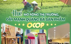Huế kết nối &ldquo;3 nh&agrave;&rdquo;, huy động nguồn lực khoa học, c&ocirc;ng nghệ phục vụ ph&aacute;t triển kinh tế - x&atilde; hội - Ảnh 5.