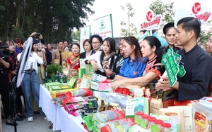Cà Mau chuyển đổi tư duy giảm nghèo giai đoạn 2026-2030 - Ảnh 3.