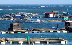 Hơn 243.000 lượt người d&acirc;n C&agrave; Mau được phổ cập kỹ năng số - Ảnh 7.