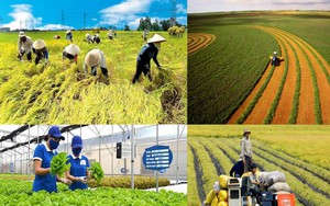 Sơn La: N&ocirc;ng nghiệp c&ocirc;ng nghệ cao tạo đột ph&aacute;, kiến tạo diện mạo n&ocirc;ng th&ocirc;n mới - Ảnh 2.