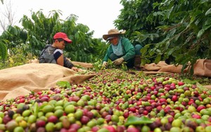 Đắk Lắk gỡ điểm nghẽn hạ tầng, mở rộng v&ugrave;ng phủ s&oacute;ng di động- Ảnh 3.