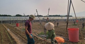 Hạ tầng số mở lối tri thức, thu hẹp khoảng cách thông tin- Ảnh 3.