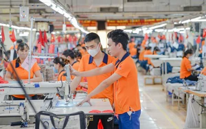 Từ ph&eacute;p đo đến chất lượng: Nền tảng kỹ thuật ph&iacute;a sau mỗi sản phẩm - Ảnh 4.