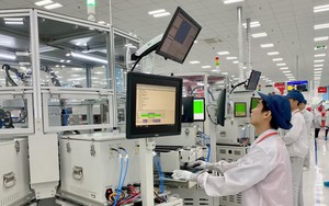 Ti&ecirc;u chuẩn mới gi&uacute;p kiểm so&aacute;t độc tố nấm mốc trong thực phẩm- Ảnh 4.