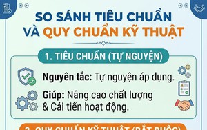 B&agrave;i 2: Quy chuẩn kỹ thuật - h&agrave;ng r&agrave;o bảo vệ an to&agrave;n cho cộng đồng- Ảnh 2.