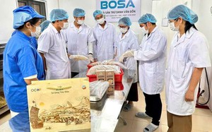 Cập nhật ch&iacute;nh s&aacute;ch hỗ trợ startup v&agrave; doanh nghiệp spin-off: Tăng cường kết nối v&agrave; tiếp cận nguồn lực - Ảnh 6.