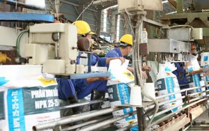 Quảng Trị th&uacute;c đẩy ứng dụng khoa học c&ocirc;ng nghệ trong n&ocirc;ng nghiệp th&iacute;ch ứng biến đổi kh&iacute; hậu- Ảnh 3.