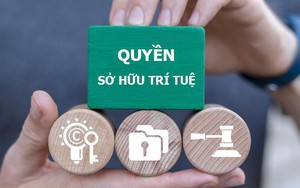 Tăng hỗ trợ đăng k&yacute; bảo hộ sở hữu tr&iacute; tuệ từ cấp cơ sở- Ảnh 9.