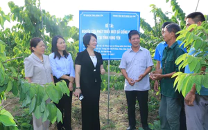 Hưng Y&ecirc;n t&igrave;m đầu ra thị trường cho 312 nhiệm vụ khoa học v&agrave; c&ocirc;ng nghệ- Ảnh 5.