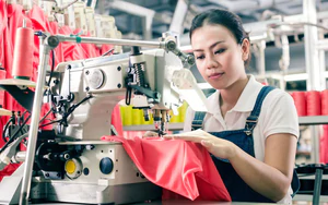Biến ti&ecirc;u chuẩn th&agrave;nh "vũ kh&iacute;" cạnh tranh: Lối đi tất yếu của doanh nghiệp thời hội nhập - Ảnh 5.