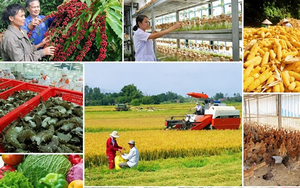 Đắk Lắk đặt mục ti&ecirc;u kinh tế số chiếm 30% GRDP v&agrave;o năm 2030- Ảnh 5.