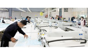 Ph&aacute;t triển kh&ocirc;ng gian đổi mới s&aacute;ng tạo phải tạo ra kết quả đo được- Ảnh 3.