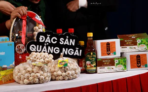 Quảng Ng&atilde;i th&uacute;c đẩy hệ sinh th&aacute;i khởi nghiệp s&aacute;ng tạo - Ảnh 4.