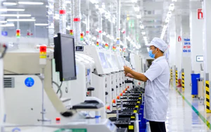 Đồng Nai: Tập trung nguồn lực đầu tư, tạo ra sản phẩm v&agrave; kết quả cụ thể, gắn trực tiếp với y&ecirc;u cầu ph&aacute;t triển kinh tế - x&atilde; hội của th&agrave;nh phố - Ảnh 9.