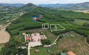 C&ocirc;ng nghệ ADN g&oacute;p phần x&aacute;c định danh t&iacute;nh liệt sĩ- Ảnh 5.