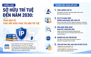 Thống nhất c&aacute;ch hiểu, th&aacute;o gỡ vướng mắc trong thực thi ph&aacute;p luật sở hữu tr&iacute; tuệ- Ảnh 8.