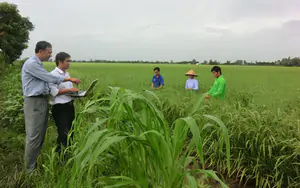 H&agrave; Tĩnh ban h&agrave;nh Kế hoạch ph&aacute;t triển nguồn nh&acirc;n lực chất lượng cao phục vụ c&aacute;c ng&agrave;nh c&ocirc;ng nghệ chiến lược - Ảnh 3.