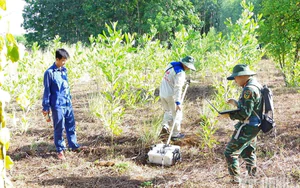 Tăng cường gi&aacute;m s&aacute;t rừng bằng c&ocirc;ng nghệ số- Ảnh 3.