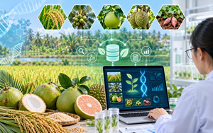 Giải m&atilde; nguồn nấm dược liệu, ph&aacute;t triển sản phẩm từ T&agrave; Đ&ugrave;ng- Ảnh 7.