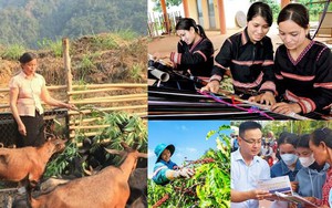Cần Thơ: Từ chuyển giao c&ocirc;ng nghệ đến tạo sinh kế bền vững- Ảnh 4.