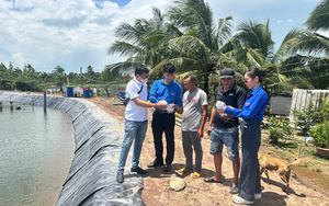 Khoa học v&agrave; c&ocirc;ng nghệ tạo lực đẩy cho c&aacute;c m&ocirc; h&igrave;nh sinh kế tại Vĩnh Long- Ảnh 7.