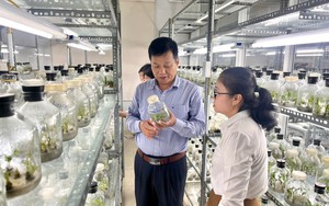 Khoa học v&agrave; c&ocirc;ng nghệ tạo lực đẩy cho c&aacute;c m&ocirc; h&igrave;nh sinh kế tại Vĩnh Long- Ảnh 6.