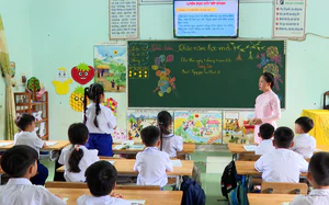 Quảng Trị lan tỏa kỹ năng số từ cơ sở - Ảnh 4.