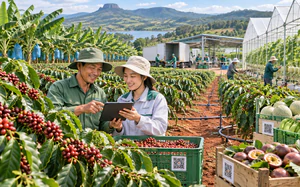 Huế lan tỏa kỹ năng số đến người d&acirc;n - Ảnh 12.