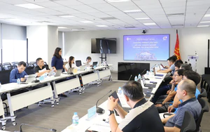 Hơn 5.000 hộ kinh doanh Đ&agrave; Nẵng được hỗ trợ c&oacute; website BIZ.VN sau 2 tuần triển khai- Ảnh 6.