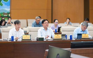 Ho&agrave;n thiện dự thảo Luật Sở hữu tr&iacute; tuệ: Cải c&aacute;ch thực chất, chuyển giao nhiệm vụ kh&ocirc;ng gi&aacute;n đoạn- Ảnh 3.