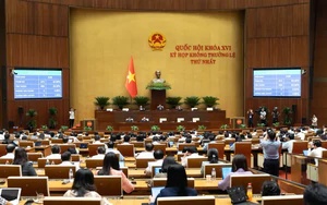 Chủ động t&igrave;m hiểu ph&aacute;p luật, x&acirc;y dựng th&oacute;i quen tu&acirc;n thủ- Ảnh 4.