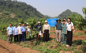 G&agrave; Đ&ocirc;ng Cảo mở hướng sinh kế mới cho người d&acirc;n Ea S&uacute;p- Ảnh 3.